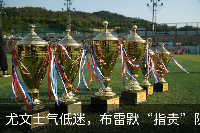 尤文士气低迷，布雷默“指责”队友被罚款，风波不断
